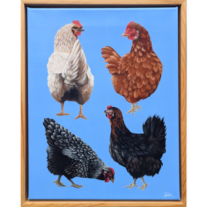 Cluckin Bluetiful