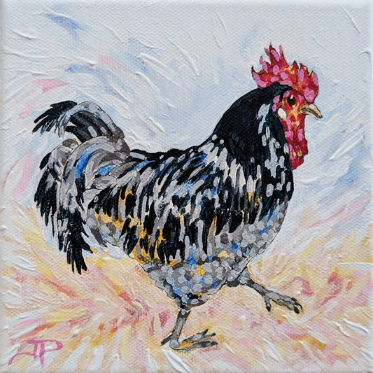 The Rooster Rumba