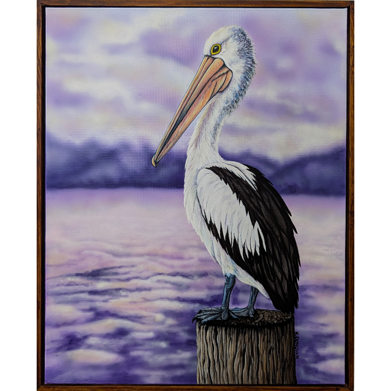 Pelicans Rest