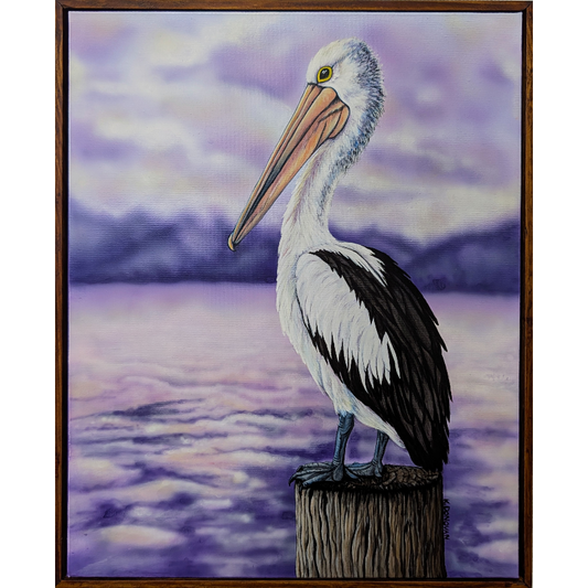 Pelicans Rest