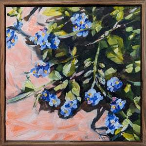 Forget Me Nots