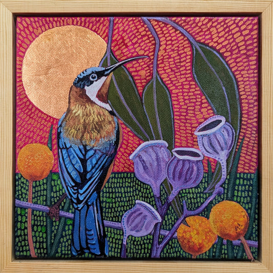 Mr Spinebill with purple gum nuts and Billy Buttons