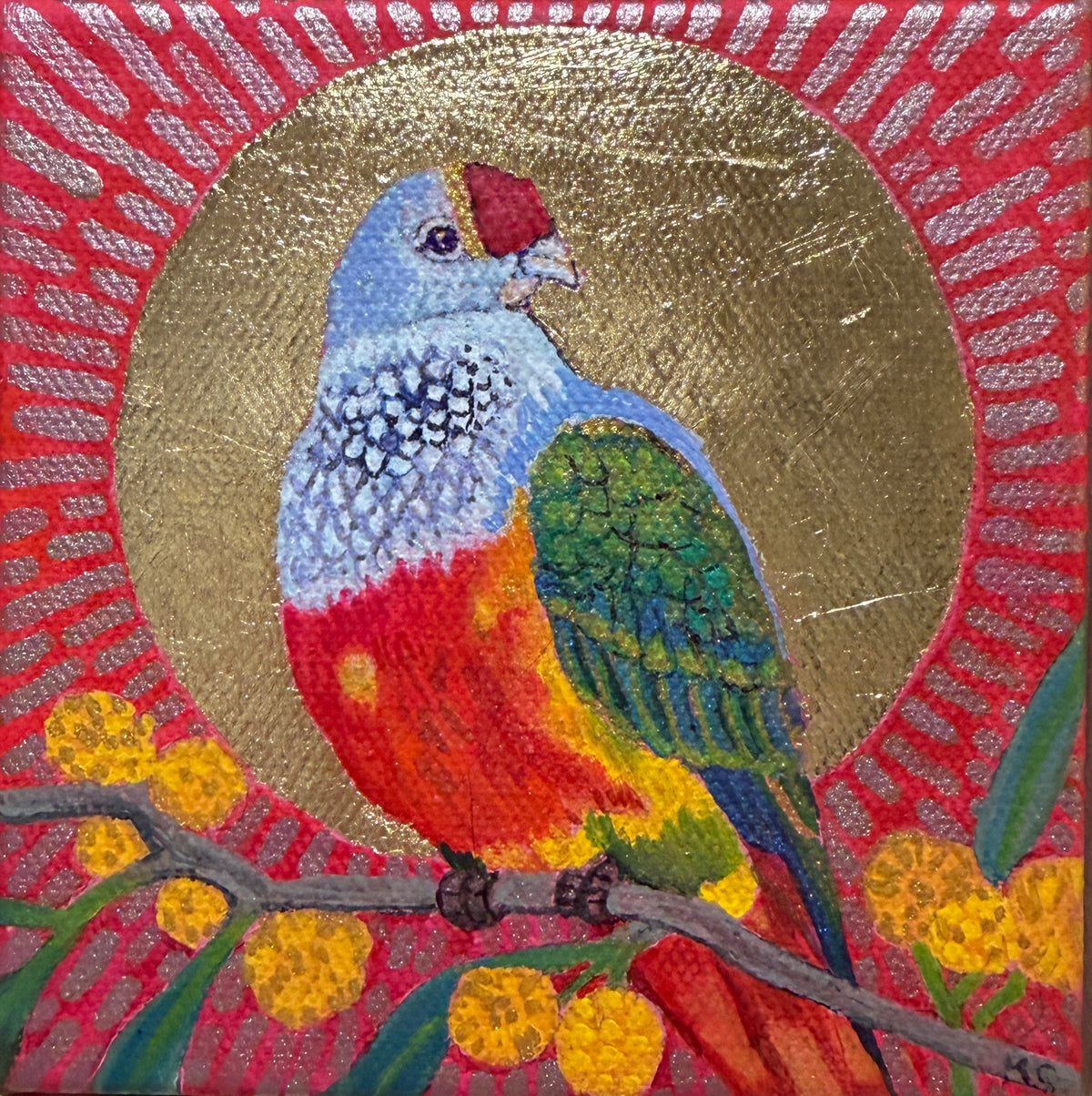 Mr Rainbow with wattle in a golden sun.