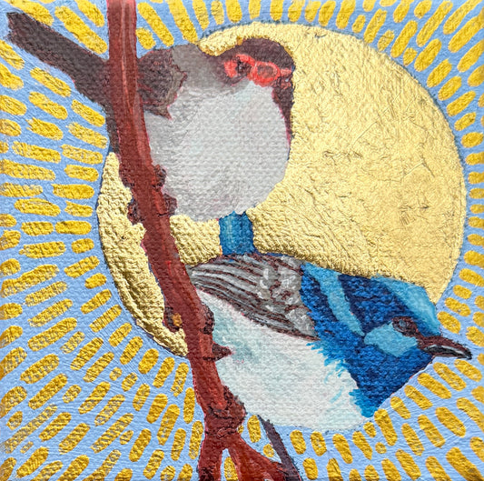Superb lovers under a golden sun