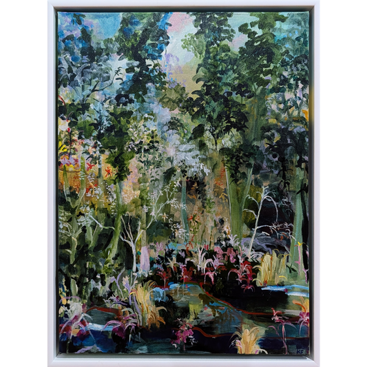 Dorrigo Rainforest Spring