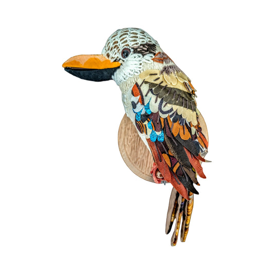Kookaburra