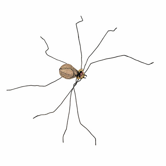 Large Spider (Brown)