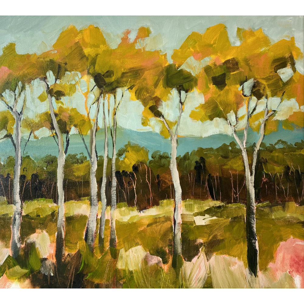 Lemon Scented Gums at Woodhill