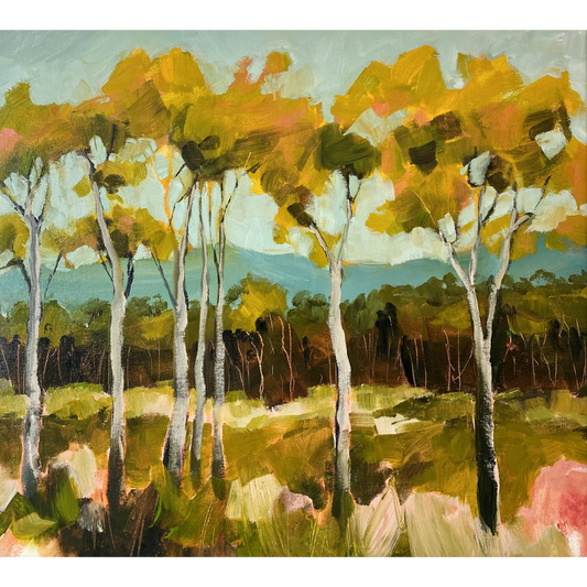 Lemon Scented Gums at Woodhill