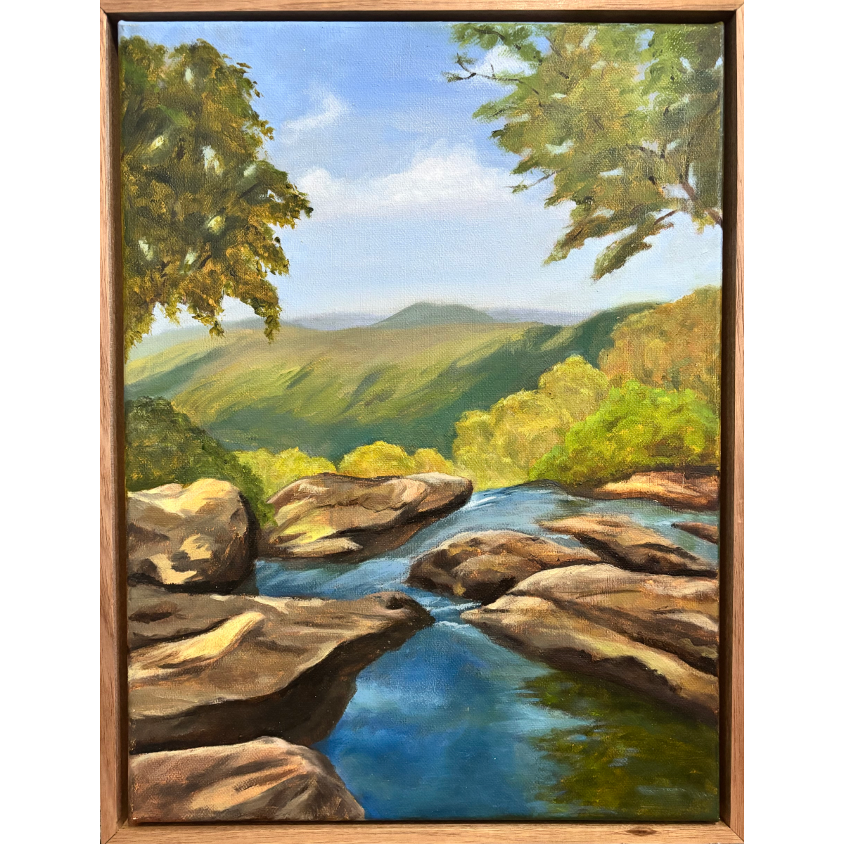 Calming Waters, Springbrook Plateau