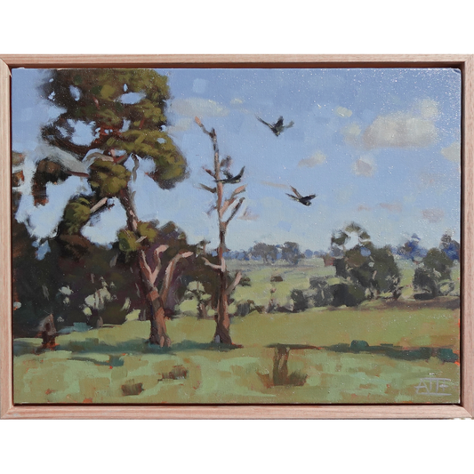 Life on Brinsmead Lane