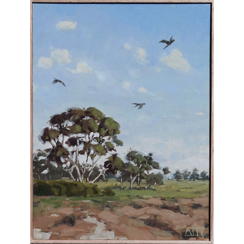 Look Up (Bellarine Peninsula)