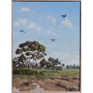 Look Up (Bellarine Peninsula)