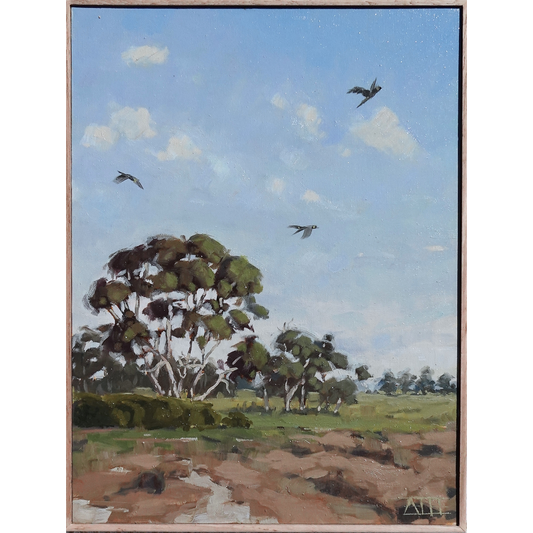 Look Up (Bellarine Peninsula)