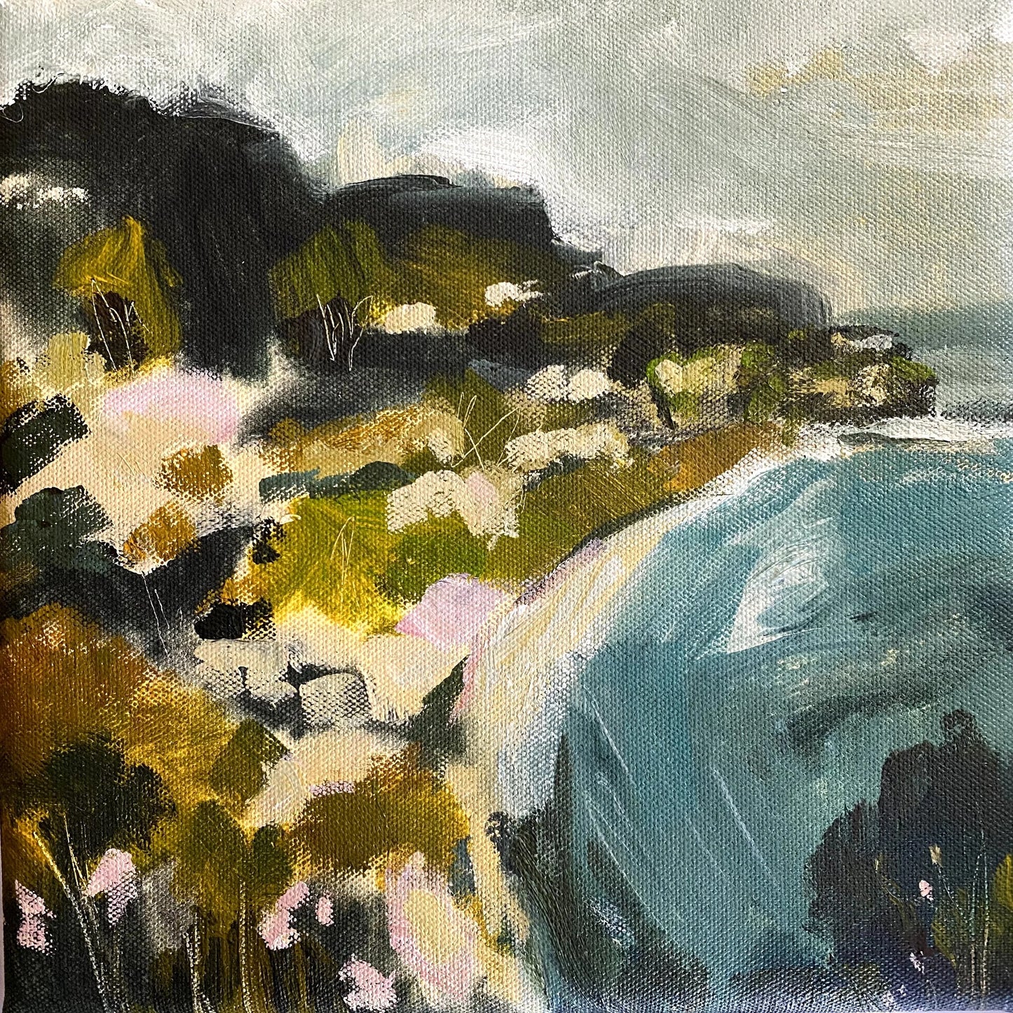 Looking North on the Illawarra Coast