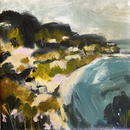 Looking North on the Illawarra Coast