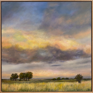 Sky Storm