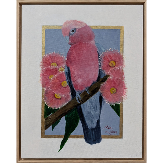 Cotton Candy - Pink Galah