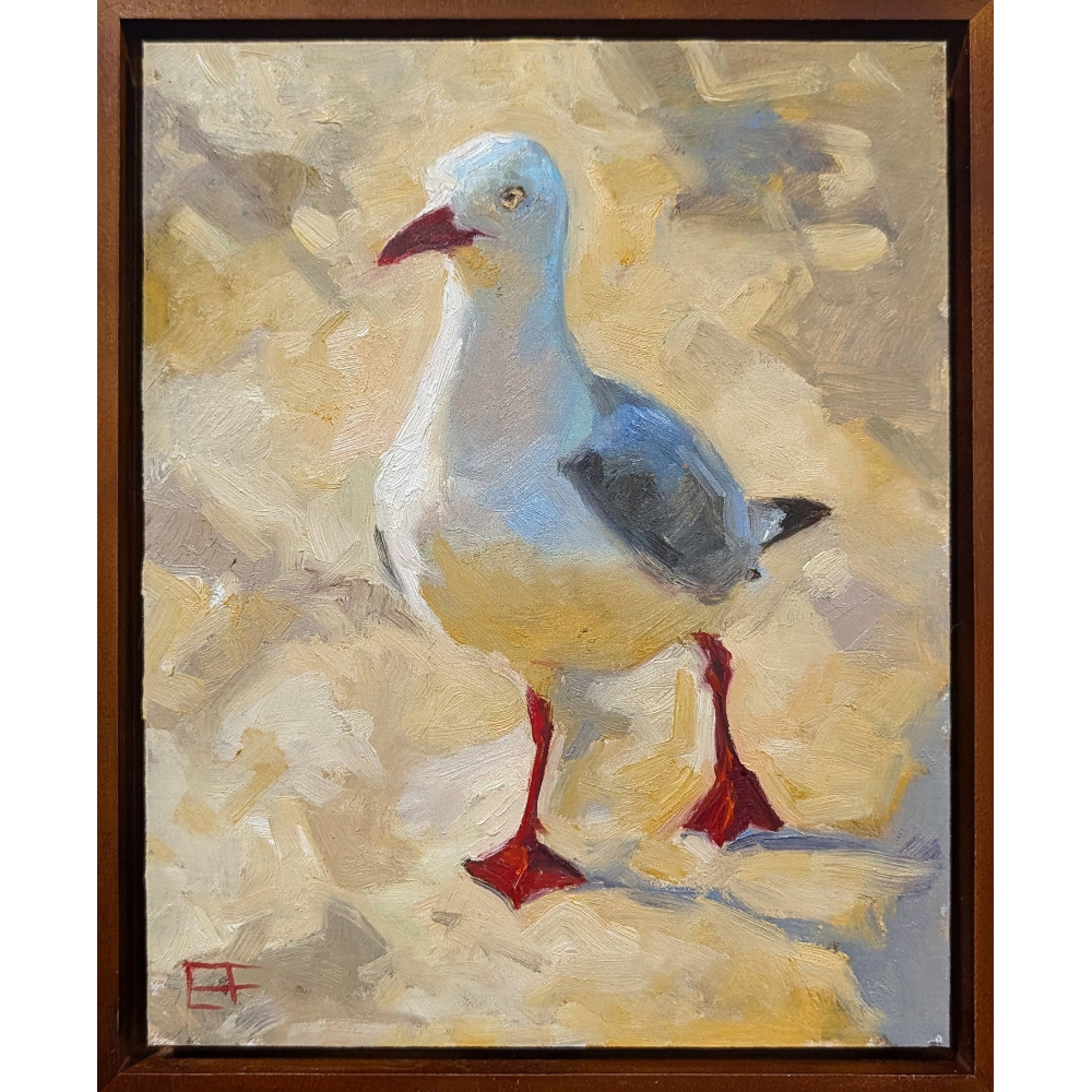Seagull #2