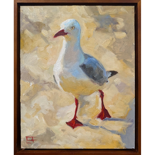 Seagull #2