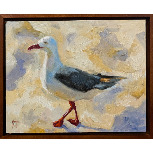 Seagull #1