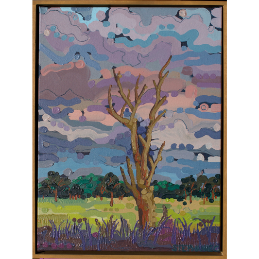 Sunset Before Storm