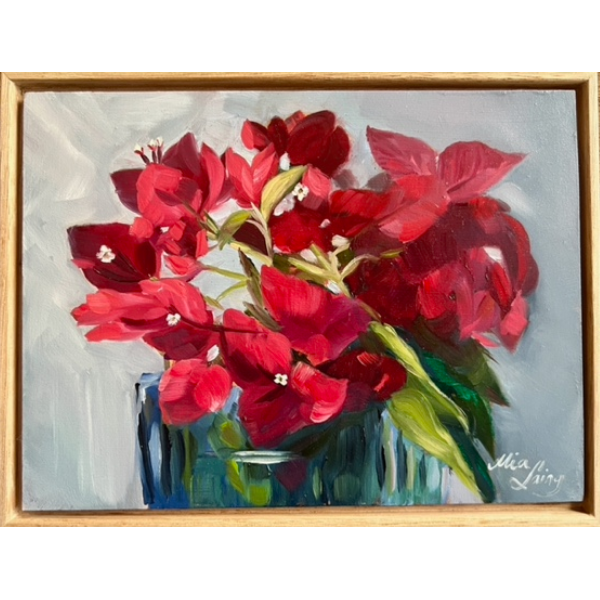 Bouganvillea Alla Prima