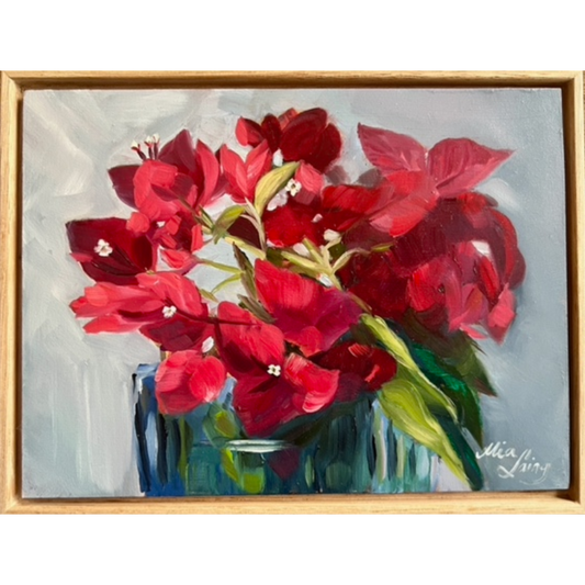 Bouganvillea Alla Prima