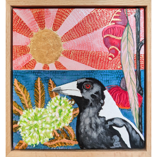 Mr Maggs with Green Eucalyptus Flowers and a Golden Sun