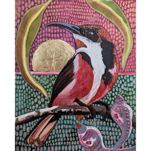 Mr Spinebill with Pink Gum Nuts and a Golden Sunrise