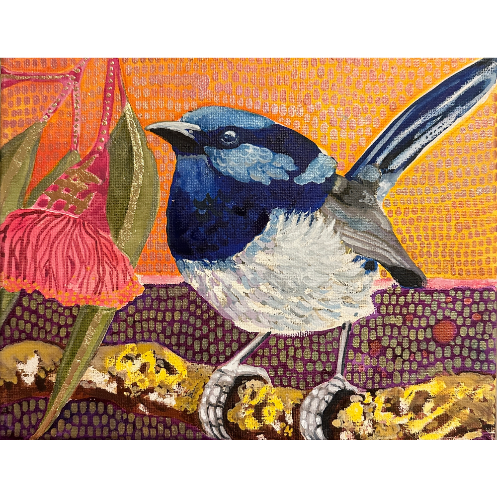 Mr Blue on a branch at sunset