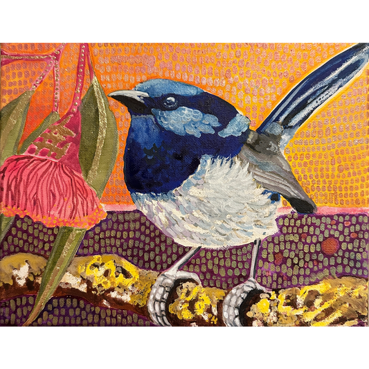 Mr Blue on a branch at sunset