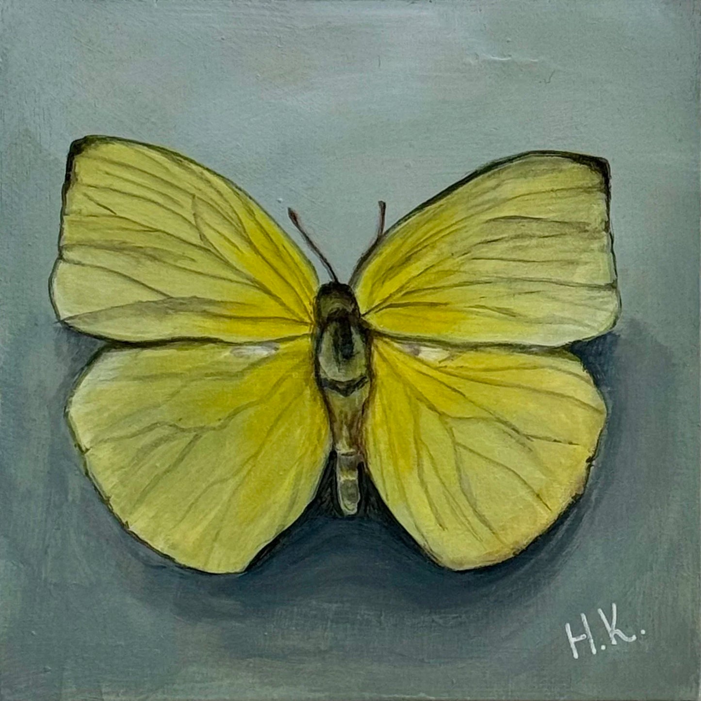 Nature's Treasure 17