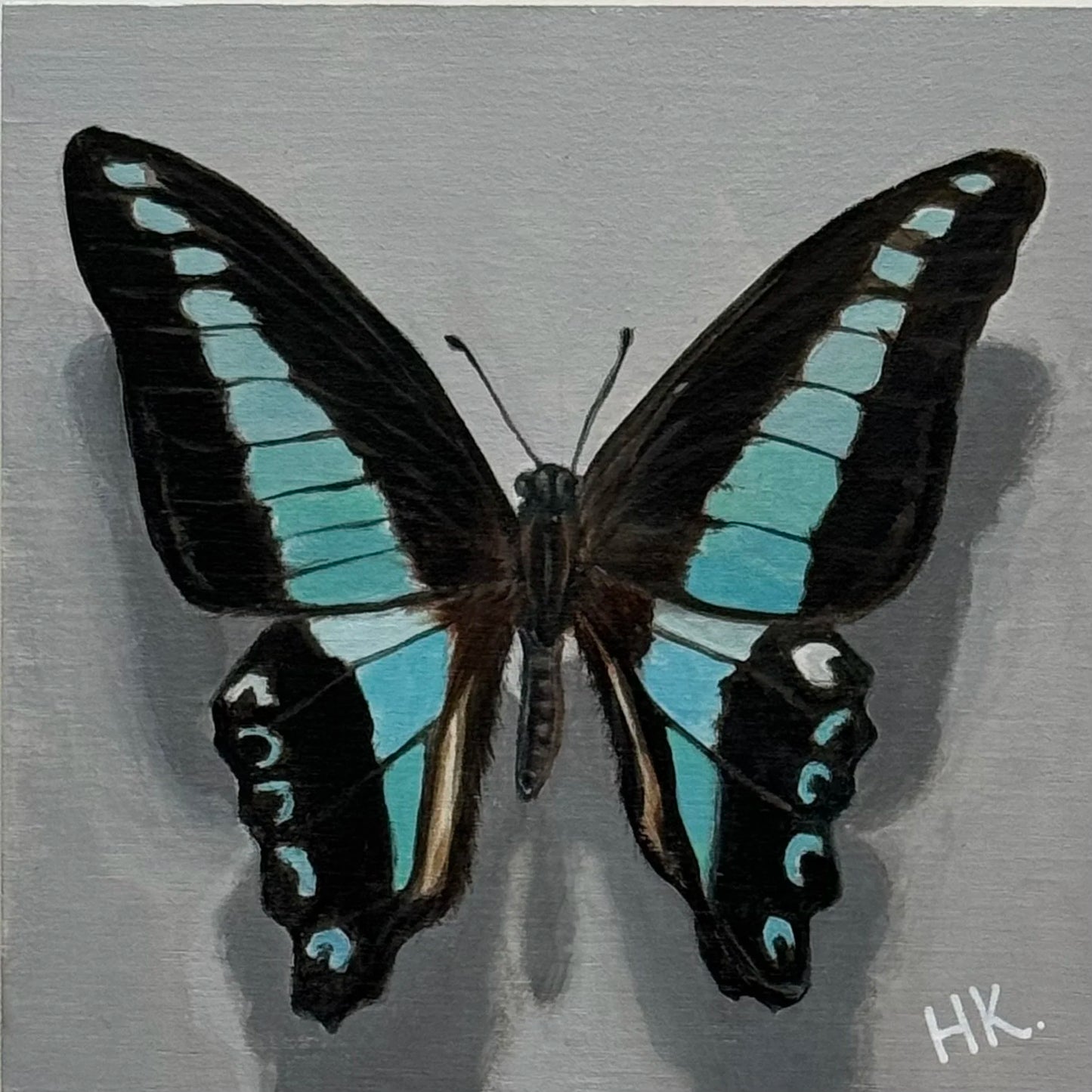 Nature's Treasure 42