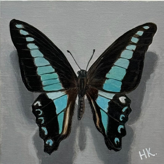 Nature's Treasure 42