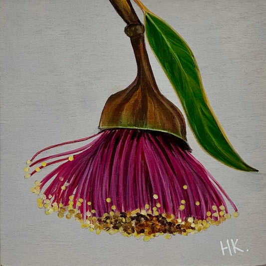 Nature's Treasure 63