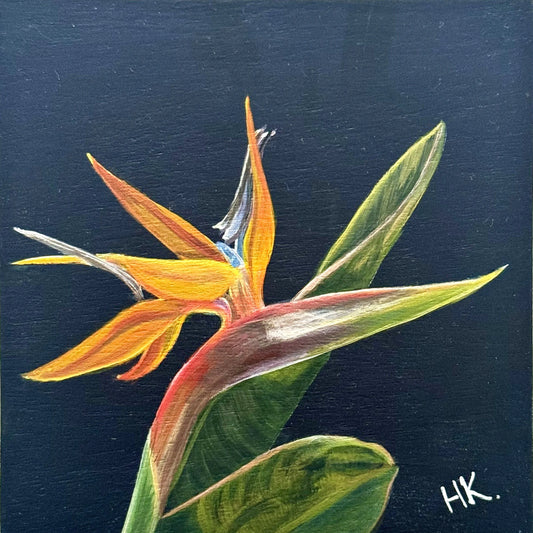 Nature's Treasures 80