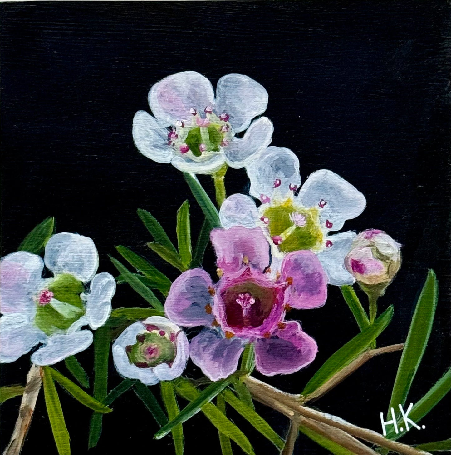 Nature's Treasures 117