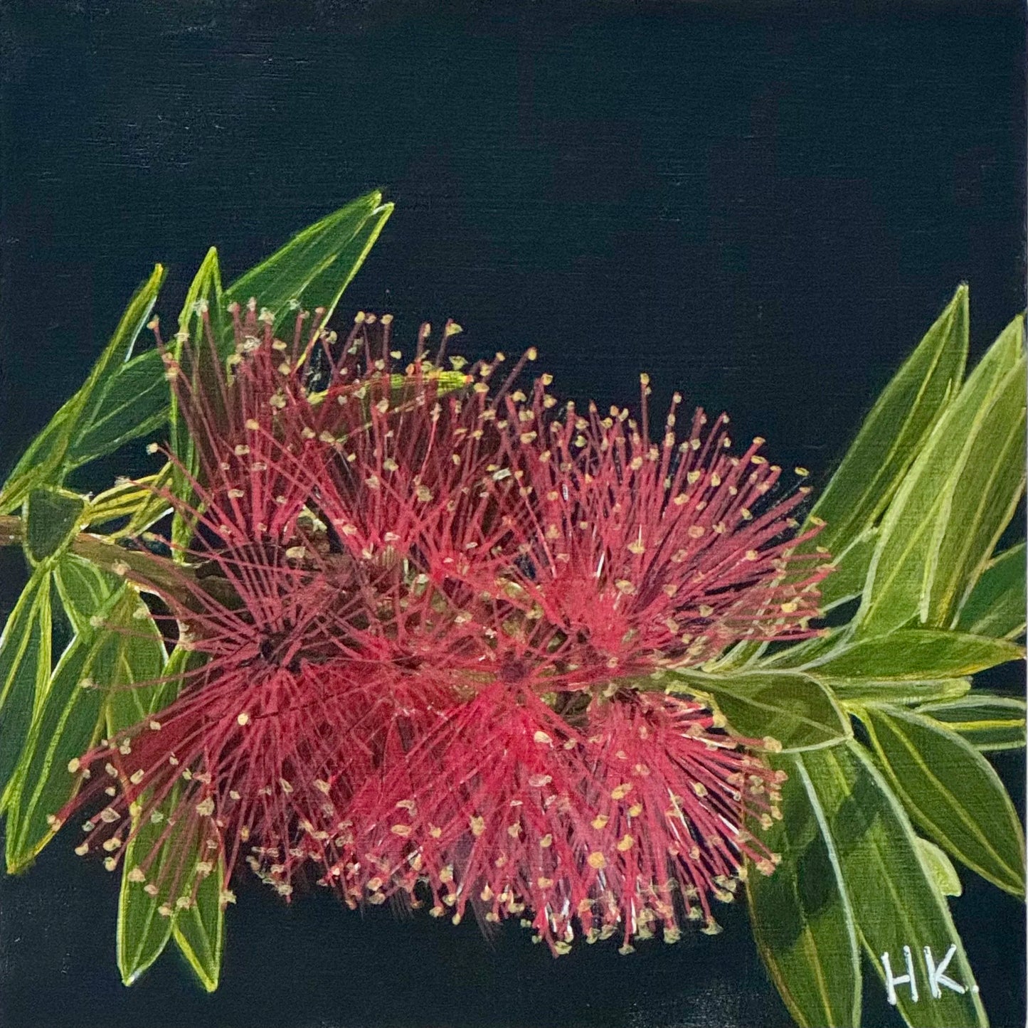 Nature's Treasures 118