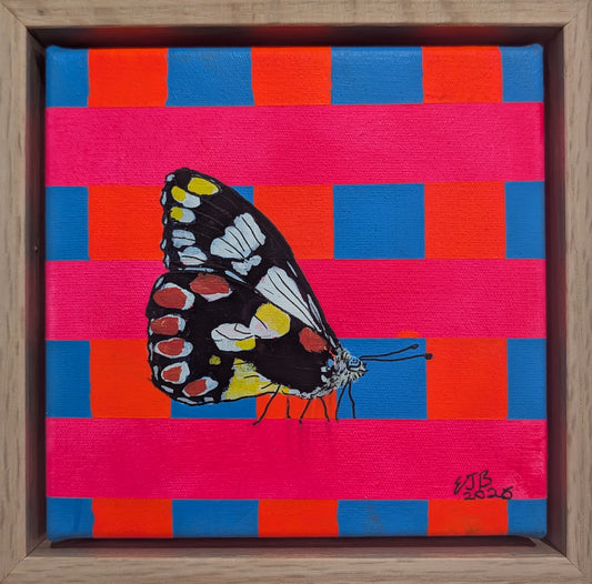 Neon Butterfly