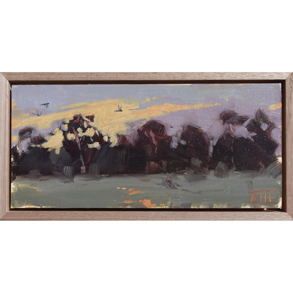 One July Evening (Bellarine Peninsula)