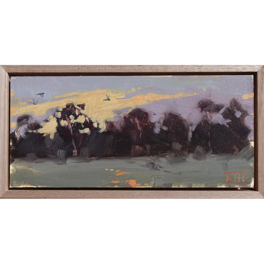 One July Evening (Bellarine Peninsula)