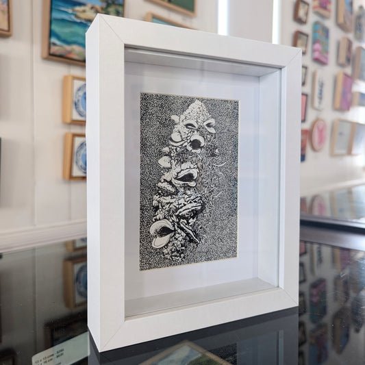 Banksia Marginata Cone