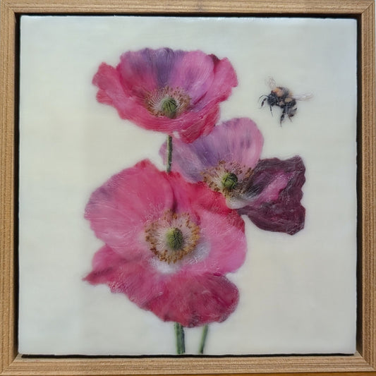 Three Pink Poppies