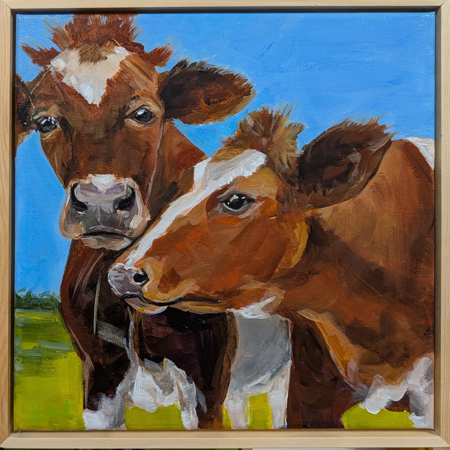 Cow Hugs