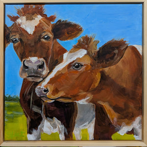 Cow Hugs