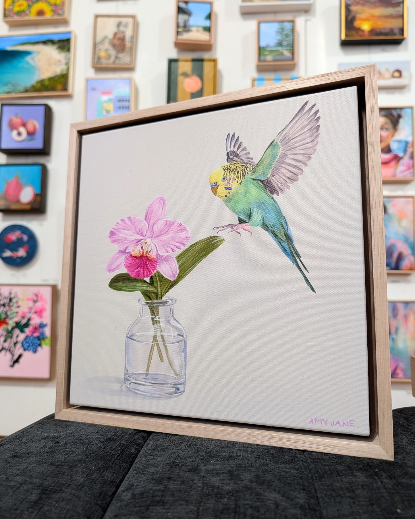 Orchid Budgie