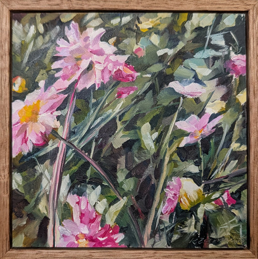 Dahlias