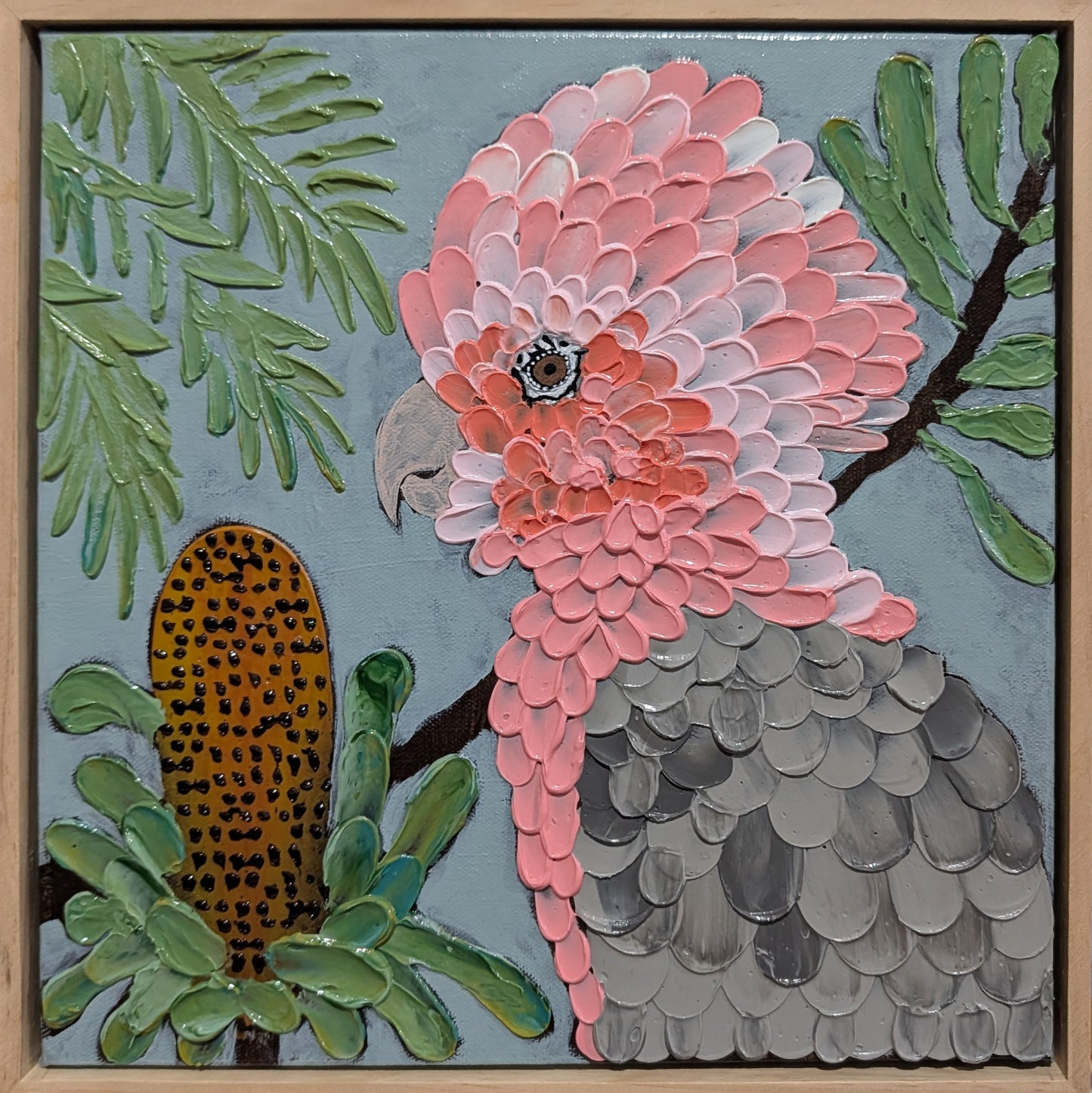 Galah with Banksia