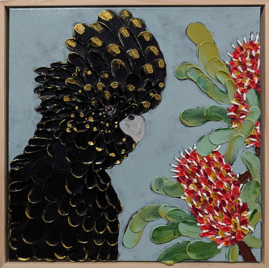 Black Cockatoo